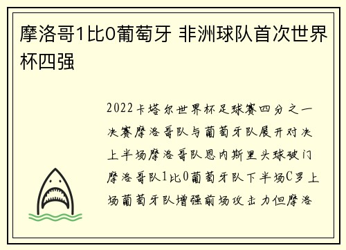摩洛哥1比0葡萄牙 非洲球队首次世界杯四强