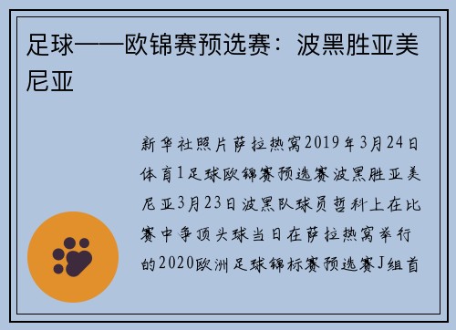 足球——欧锦赛预选赛：波黑胜亚美尼亚